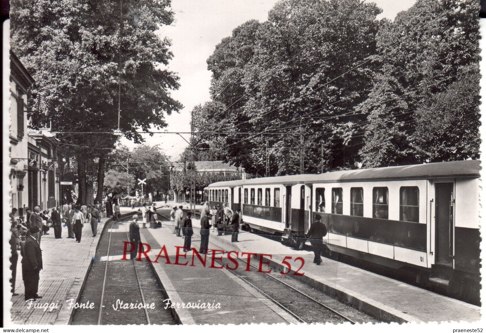 Frosinone-fiuggi-stazione Ferroviaria Vicinali -stefer - -ANIMATA - Frosinone