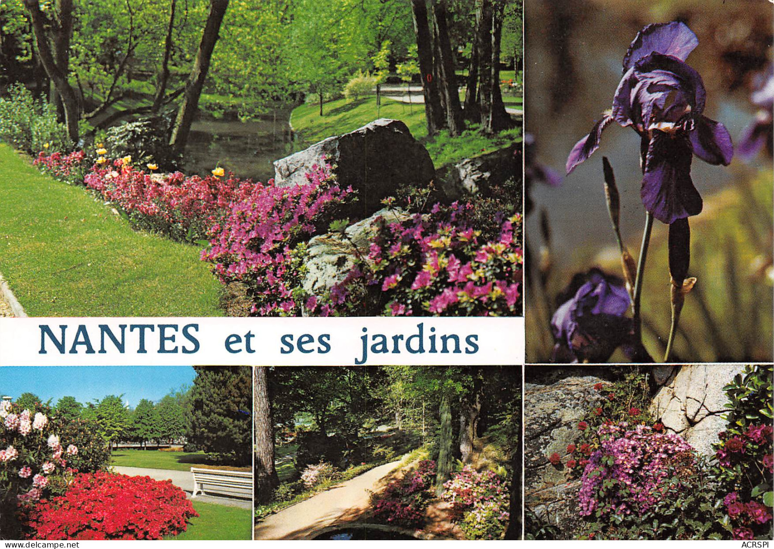 NANTES   Les Jardins Fleuris    7 (scan Recto Verso)MG2865 - Nantes