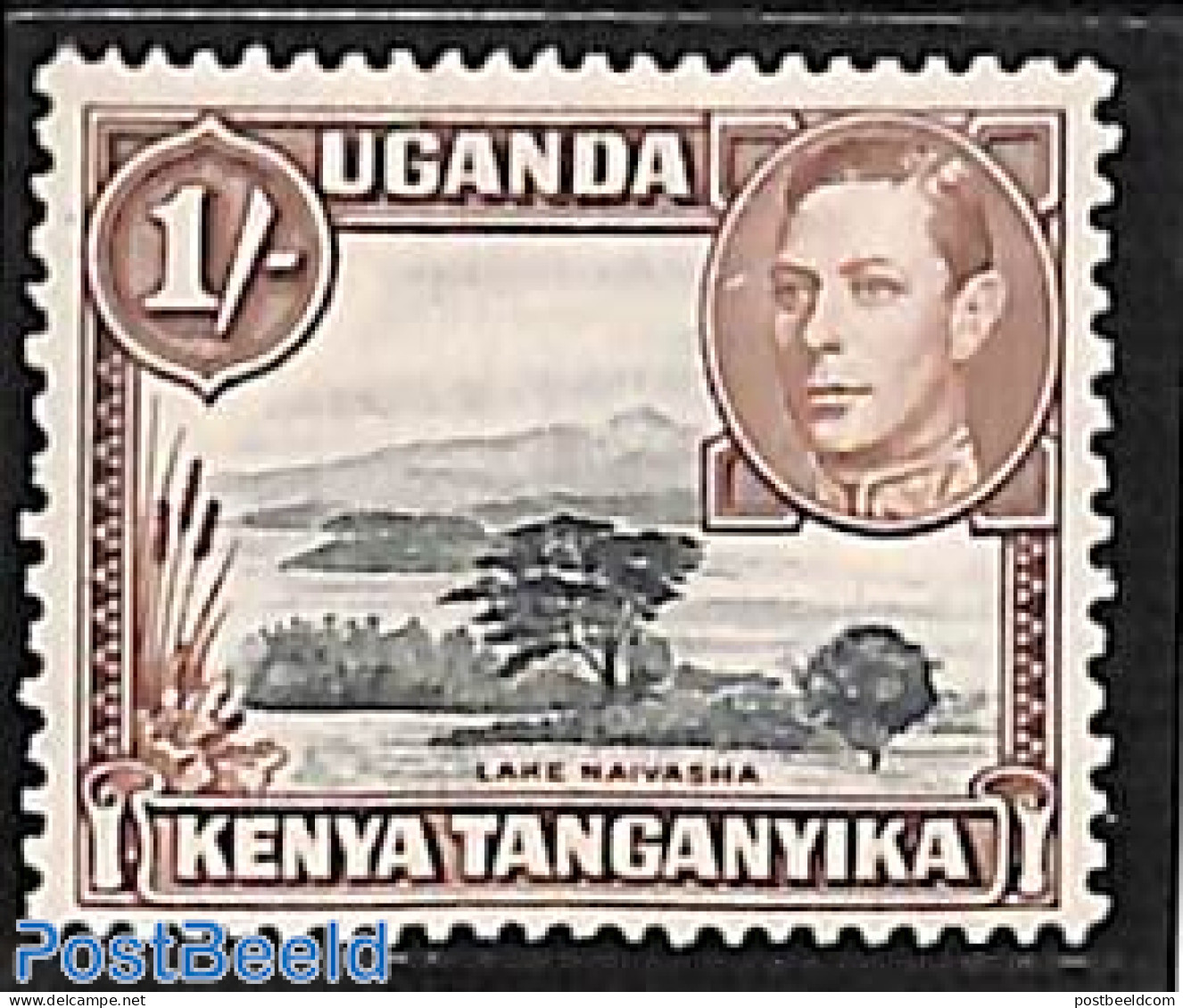 East Africa 1938 1Sh, Perf. 13:11.75, Stamp Out Of Set, Mint NH, Nature - Trees & Forests - Rotary, Lions Club