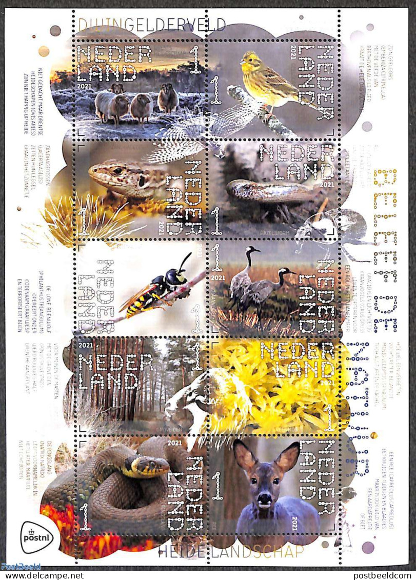 Netherlands 2021 Dwingelderveld 10v M/s S-a, Mint NH, Nature - Animals (others & Mixed) - Birds - Deer - Insects - Rep.. - Ongebruikt
