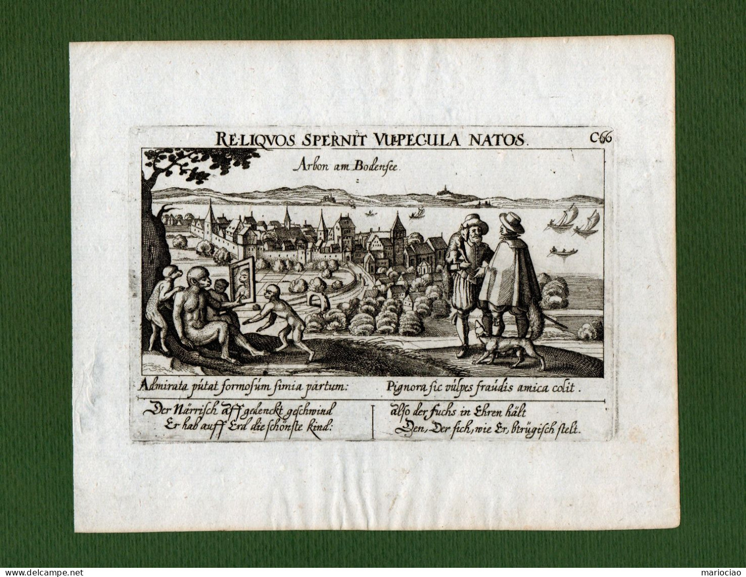 ST-CH THURGAU 1678~ Arbon Am Bodensee Daniel Meisner RELIQUOS SPERNIT VULPECULA NATOS - Prints & Engravings