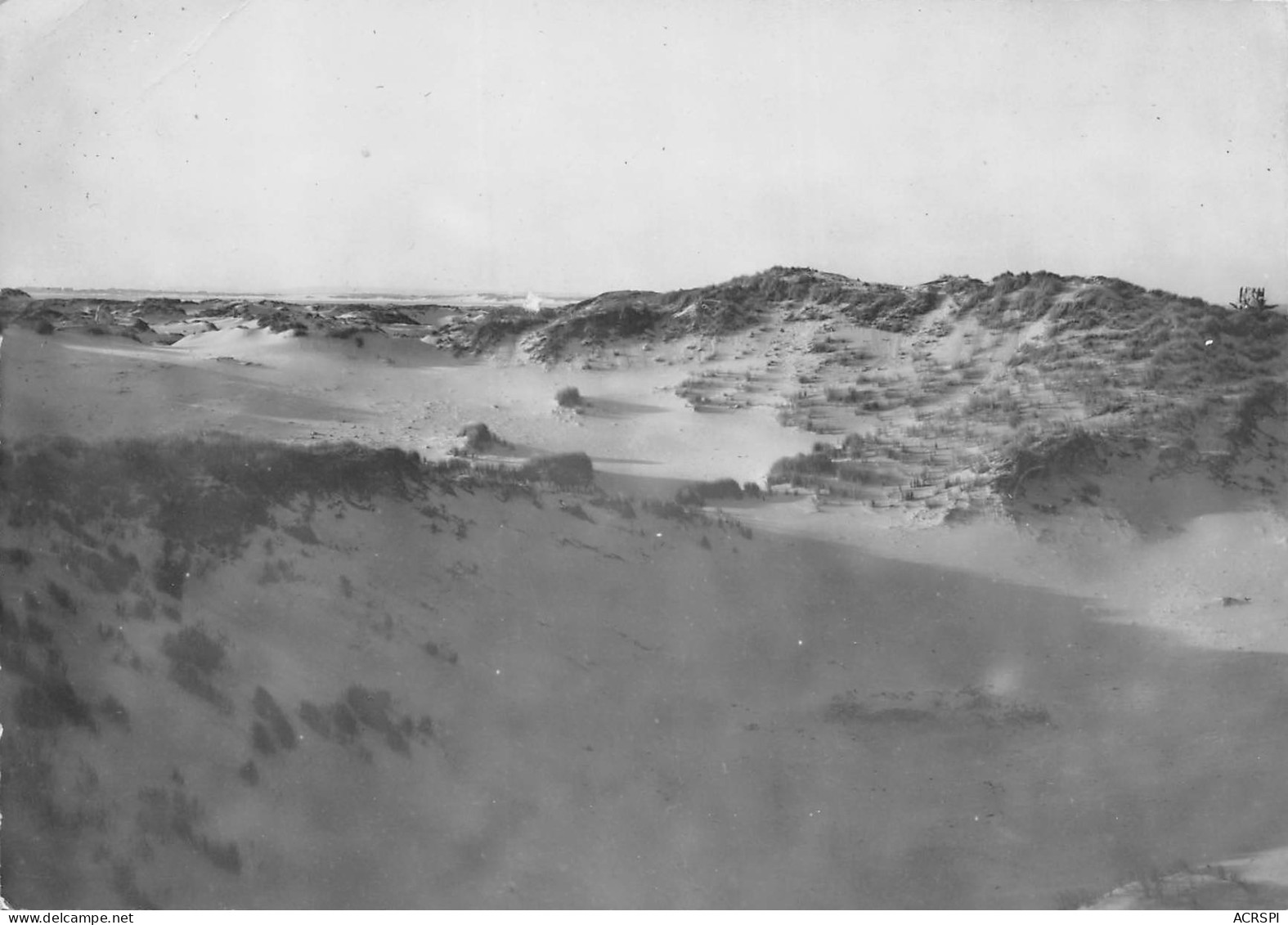 FORT MAHON Les Dunes  40  (scan Recto Verso)MG2882TER - Fort Mahon