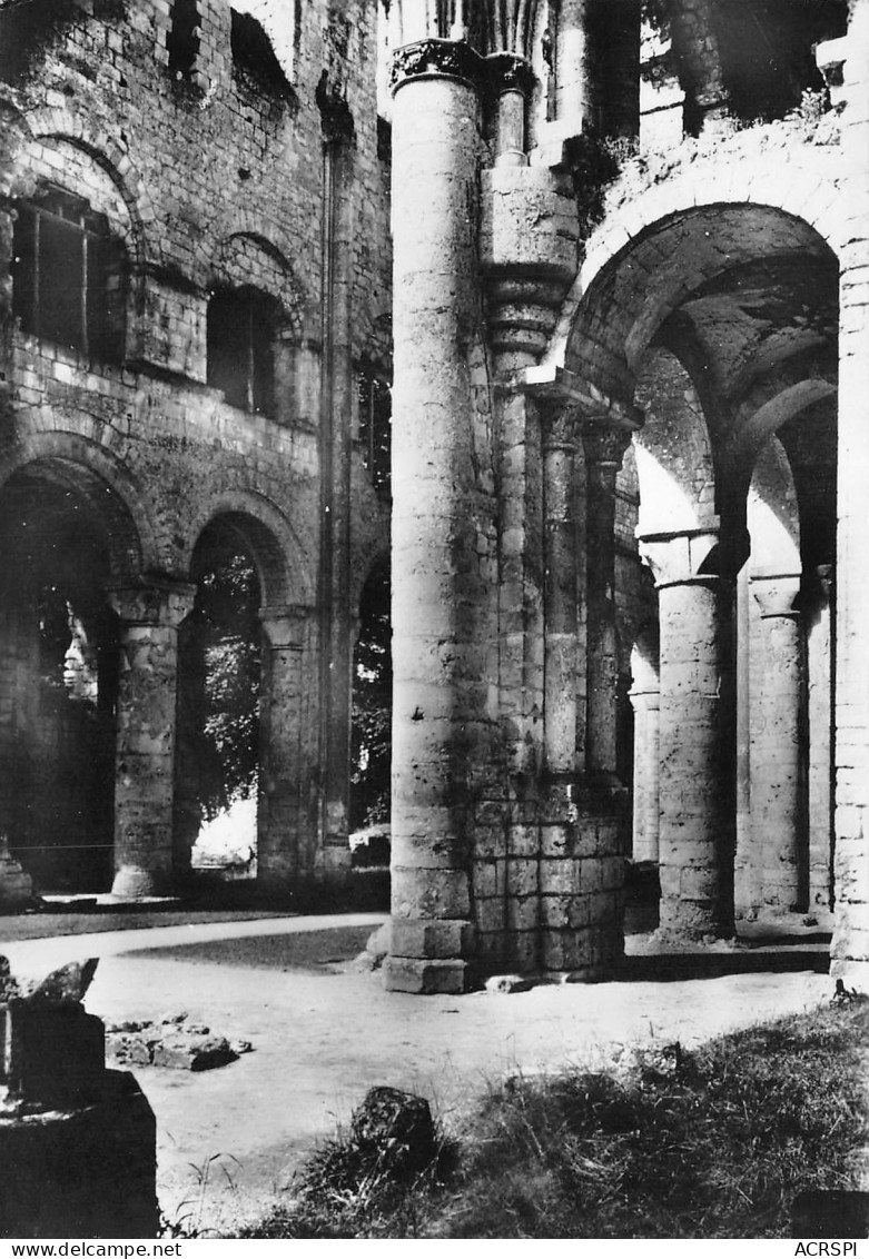 JUMIEGES Les Ruines De L'abbaye  5  (scan Recto Verso)MG2886UND - Jumieges