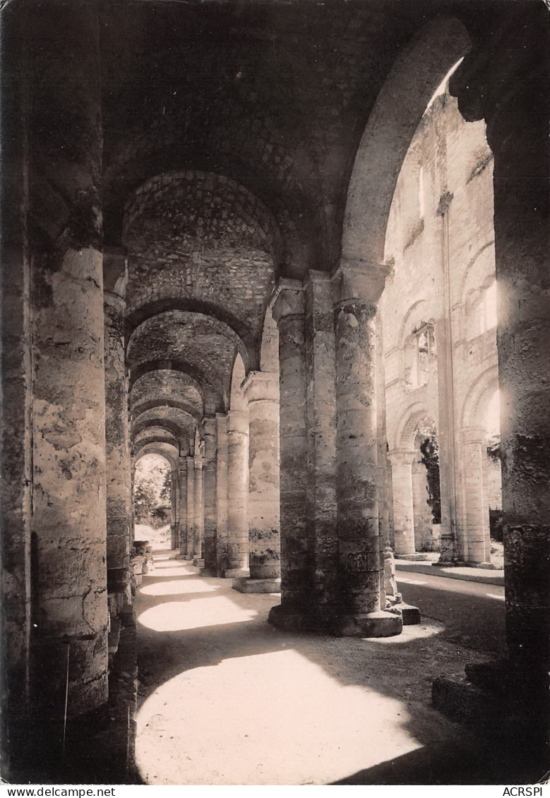 JUMIEGES Les Ruines De L'abbays 14   (scan Recto Verso)MG2886UND - Jumieges