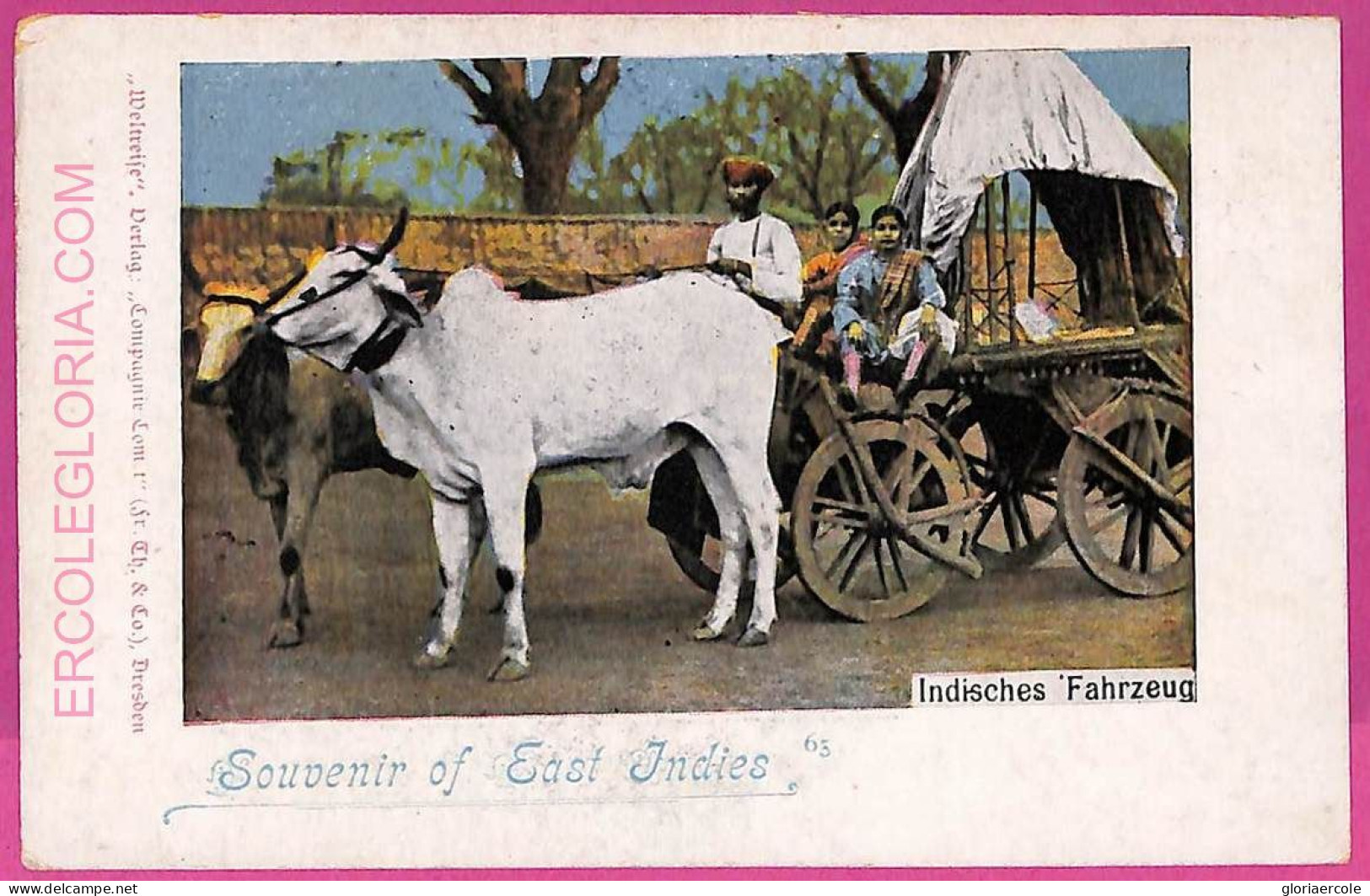 Ag3871  - INDIA - VINTAGE POSTCARD  - Indios Transport - Inde