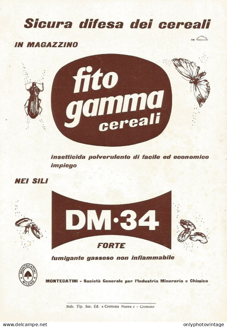 Insetticida Fito Gamma Cereali E DM 34 - Pubblicità 1961 - Advertising - Publicidad