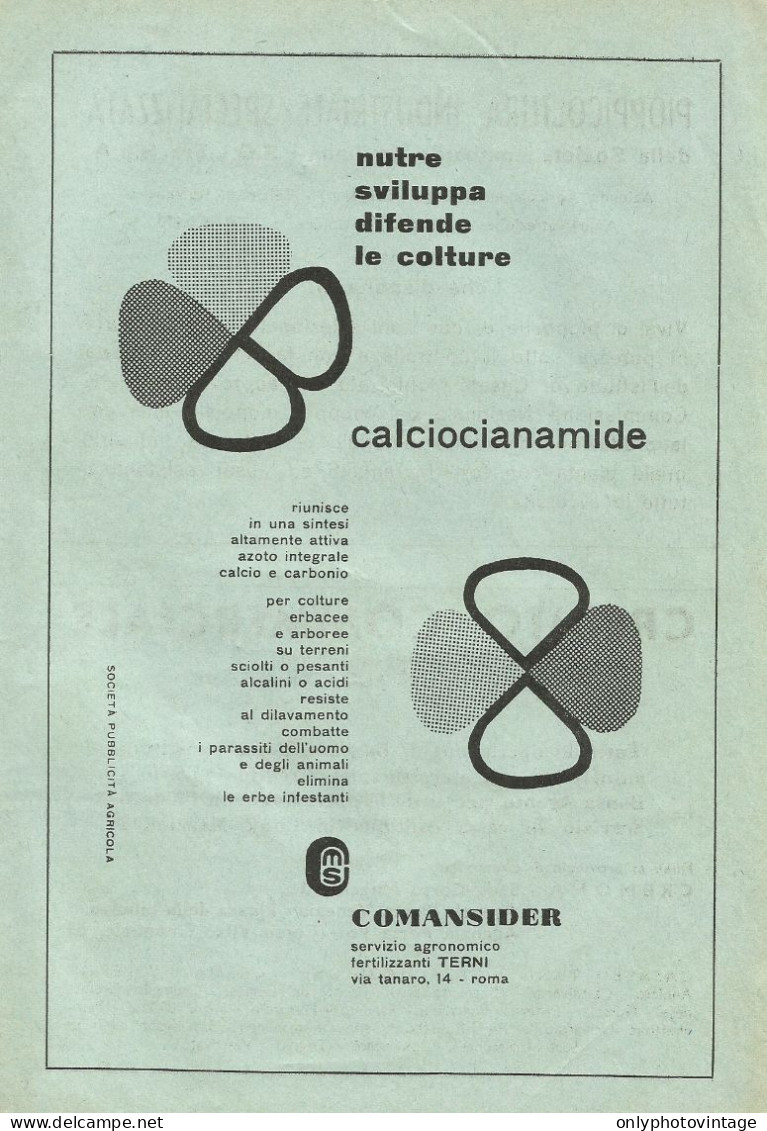 Servizio Agronomico Fertilizzanti Terni - Pubblicità 1961 - Advertising - Publicités