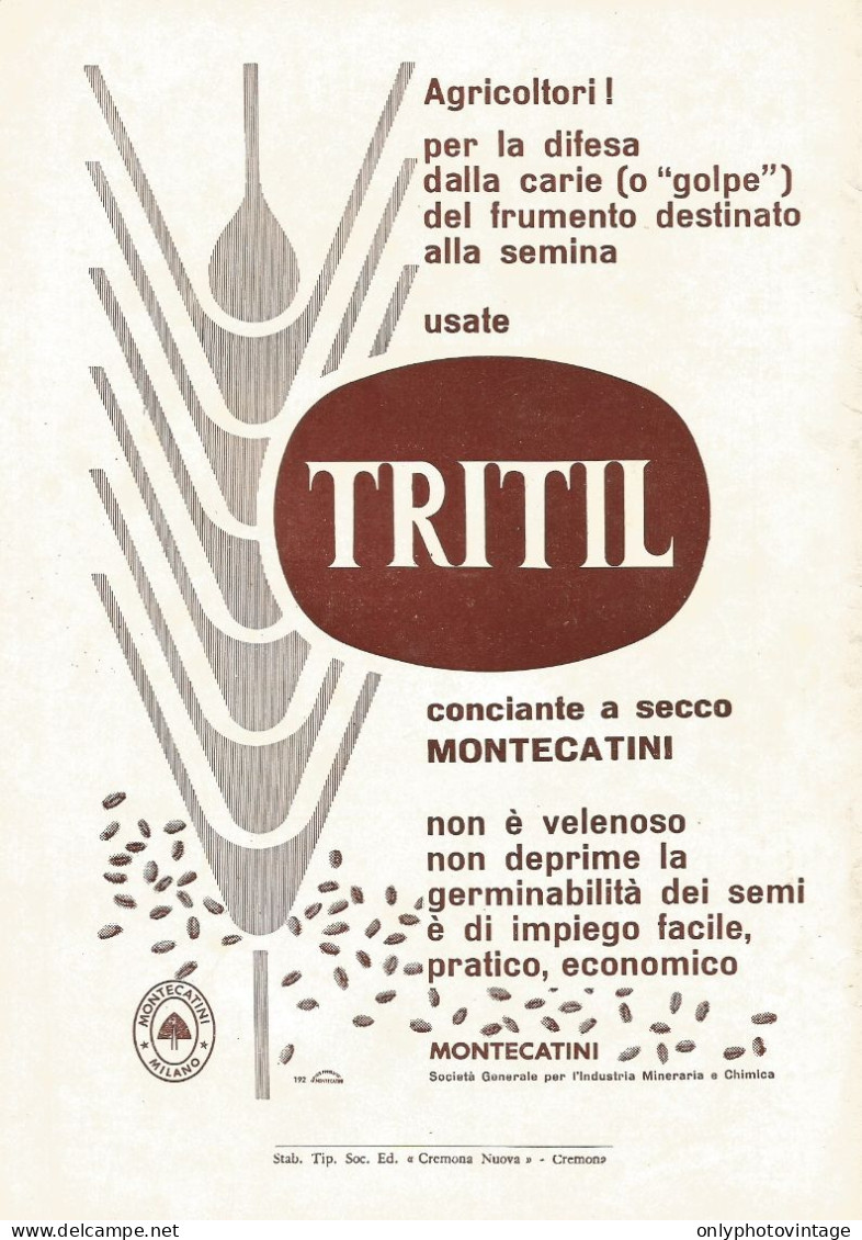 TRITIL Conciante A Secco - Montecatini - Pubblicità 1961 - Advertising - Publicités