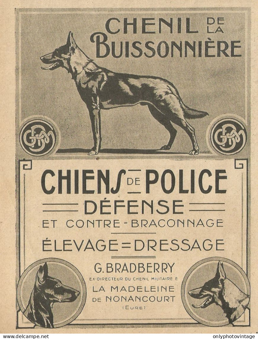 Chenil De La Buissonnière - Pubblicità 1922 - Advertising - Publicités