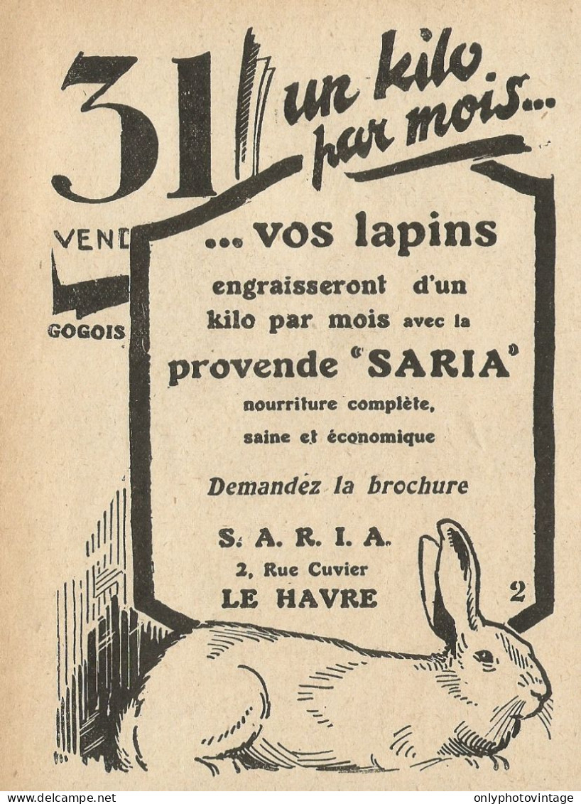 Un Kilo Par Mois....vos Lapins - Pubblicità 1929 - Advertising - Advertising