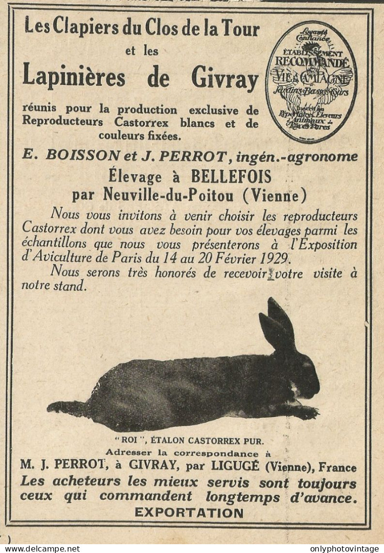 Lapinières De Givray - Pubblicità 1929 - Advertising - Advertising