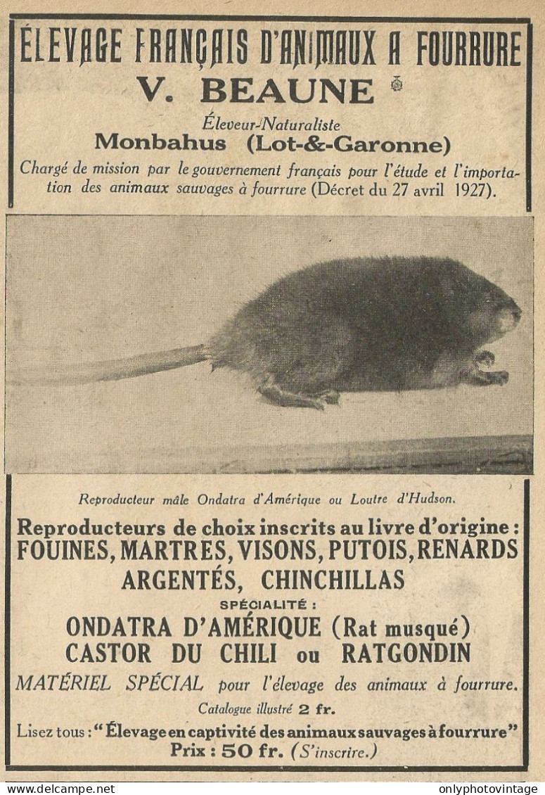 Elevage Français D'animaux A Fourrure - Pubblicità 1928 - Advertising - Publicités