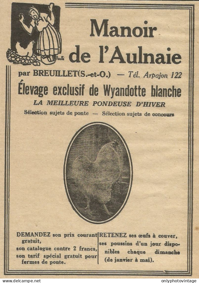 Elevage Exclusif De Wiandotte Blanche - Pubblicità 1929 - Advertising - Publicités
