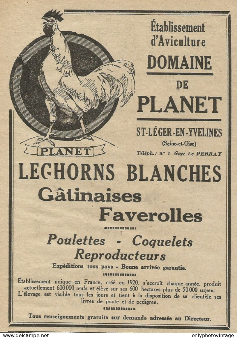 Leghorns Blanches Gatinaises Faverolles - Pubblicità 1928 - Advertising - Publicités