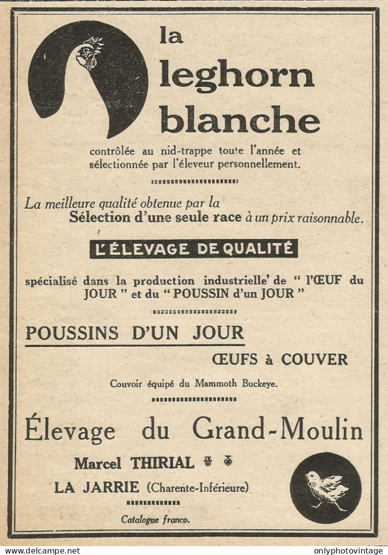 Elevage Du Grand Moulin La Leghorn Blanche - Pubblicità 1929 - Advertising - Werbung