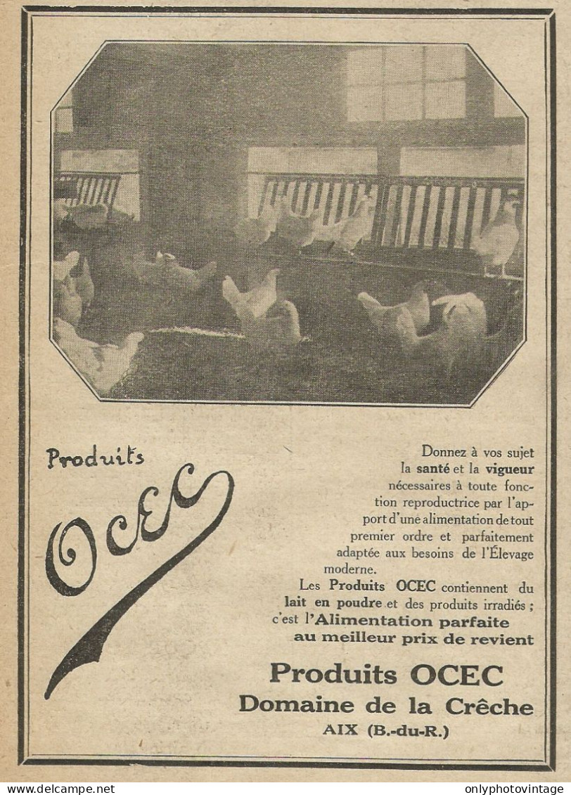 Produits OCEC - Pubblicità 1929 - Advertising - Publicités