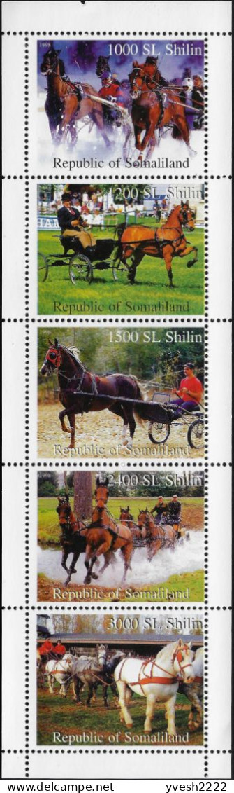 Somaliland 1998. Émission Privée Fantaisiste (Cendrillon). Cheval Attelé, Bloc De 5 Vignettes - Paardensport