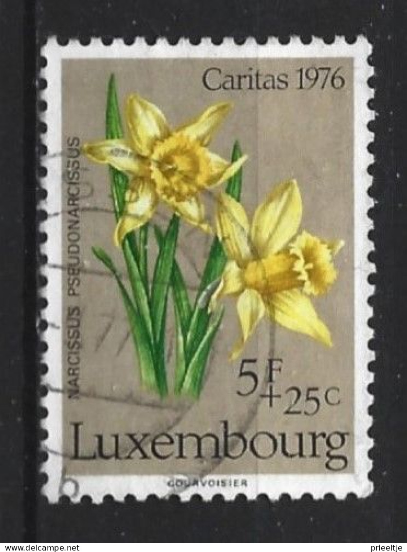 Luxemburg 1976 Flowers  Y.T. 887 (0) - Used Stamps