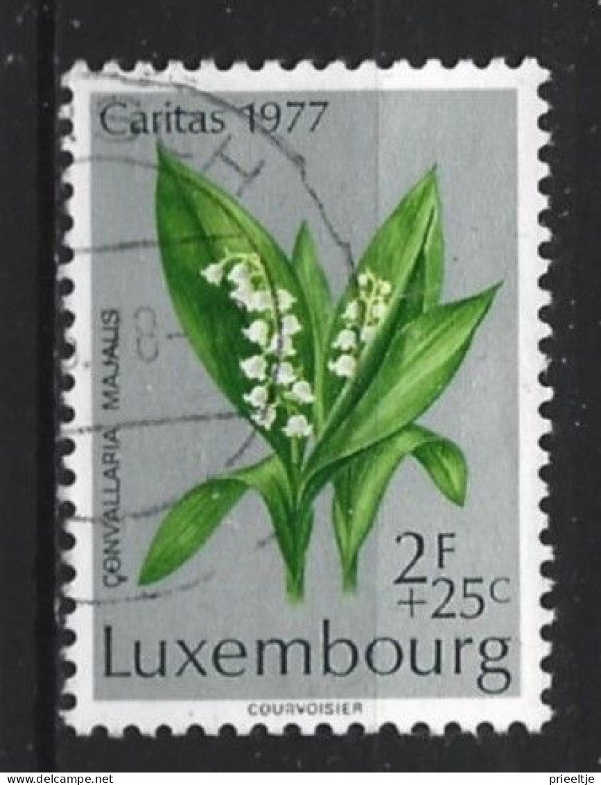 Luxemburg 1977 Flowers  Y.T. 907 (0) - Usados