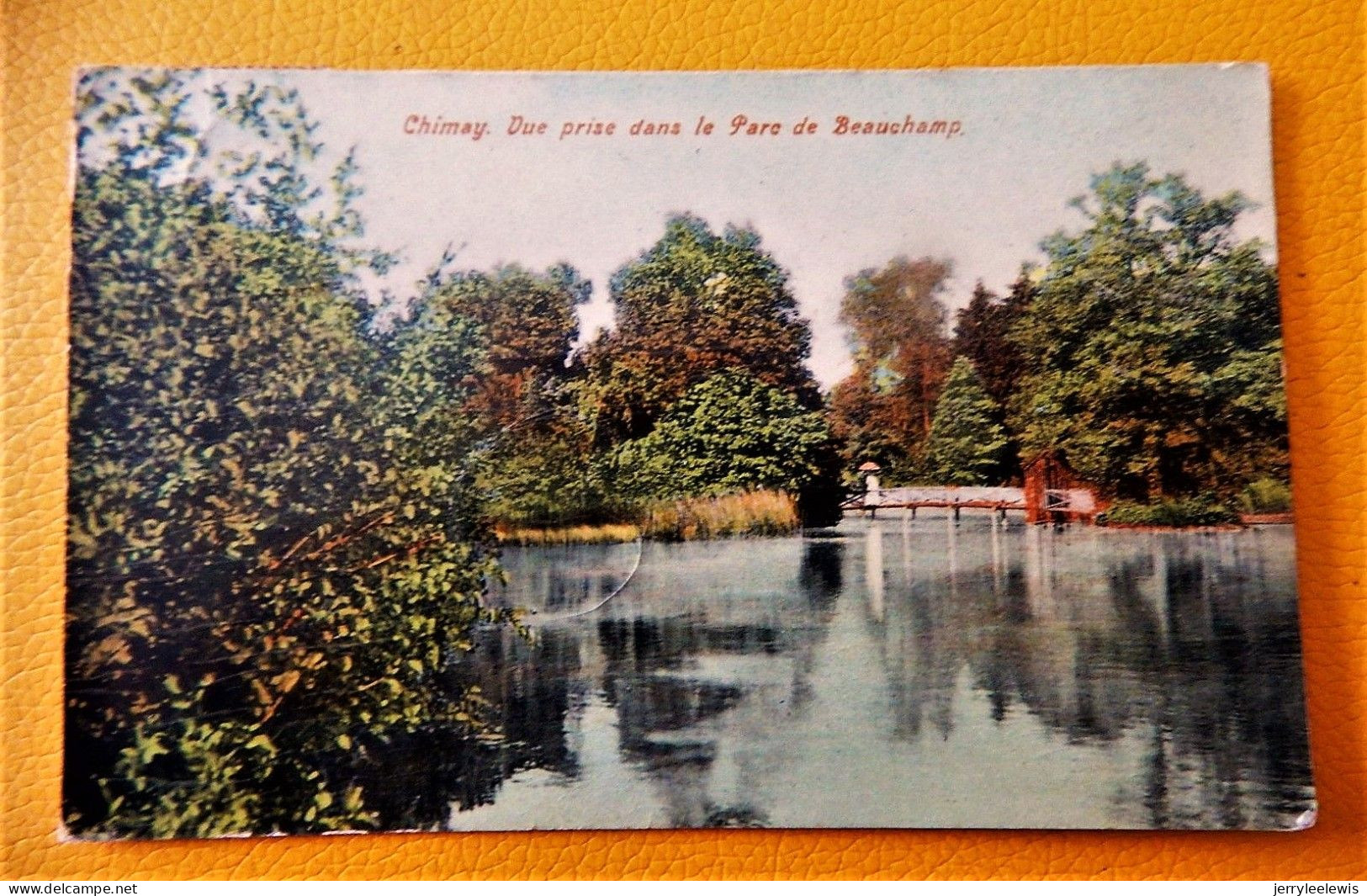 CHIMAY  -  Vue Prise Dans Le Parc De Beauchamp  -  1911 - Chimay