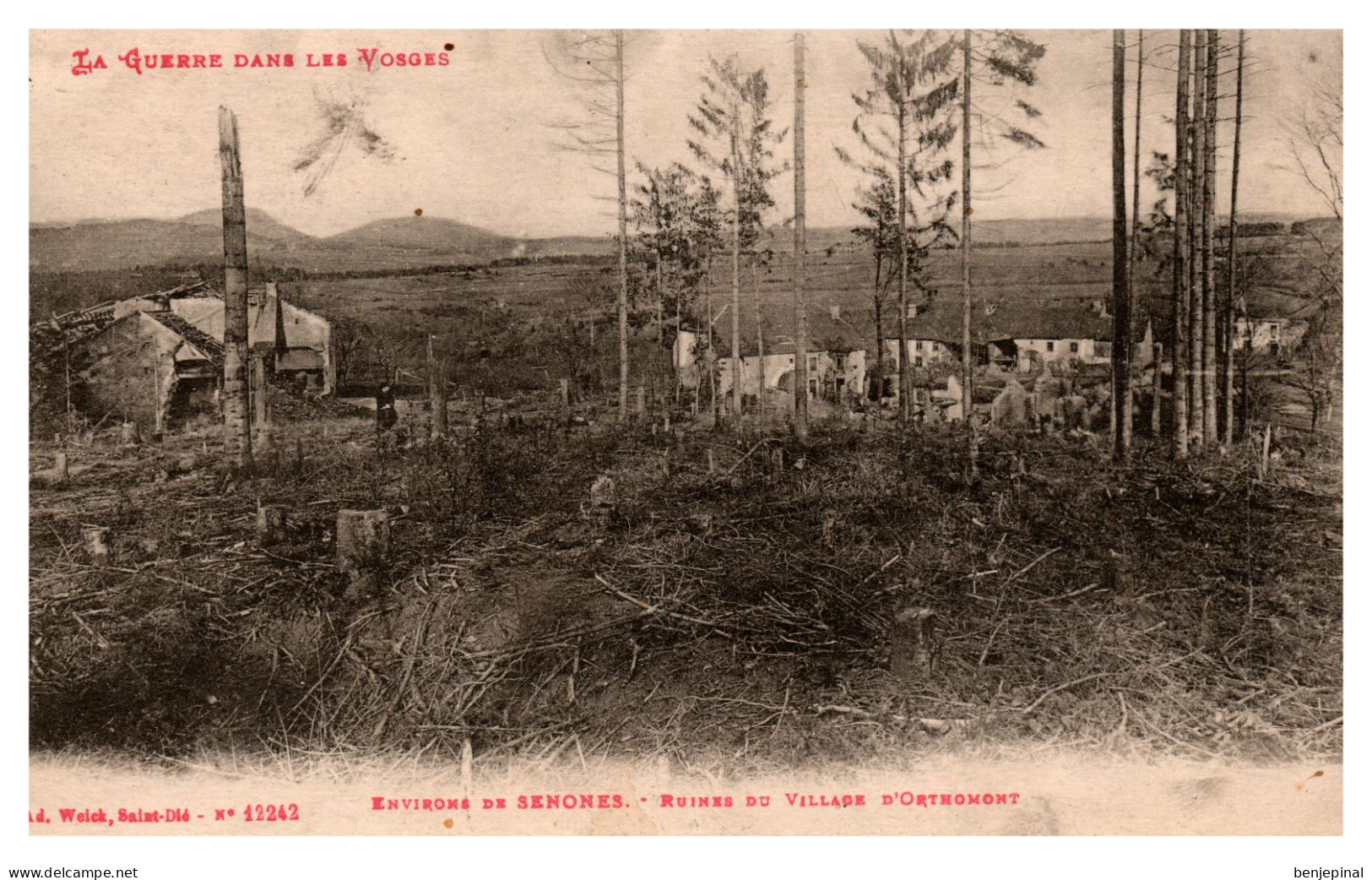 La Guerre Dans Les Vosges - Environs De Senones - Ruines Du Village D'Orthomont - Senones