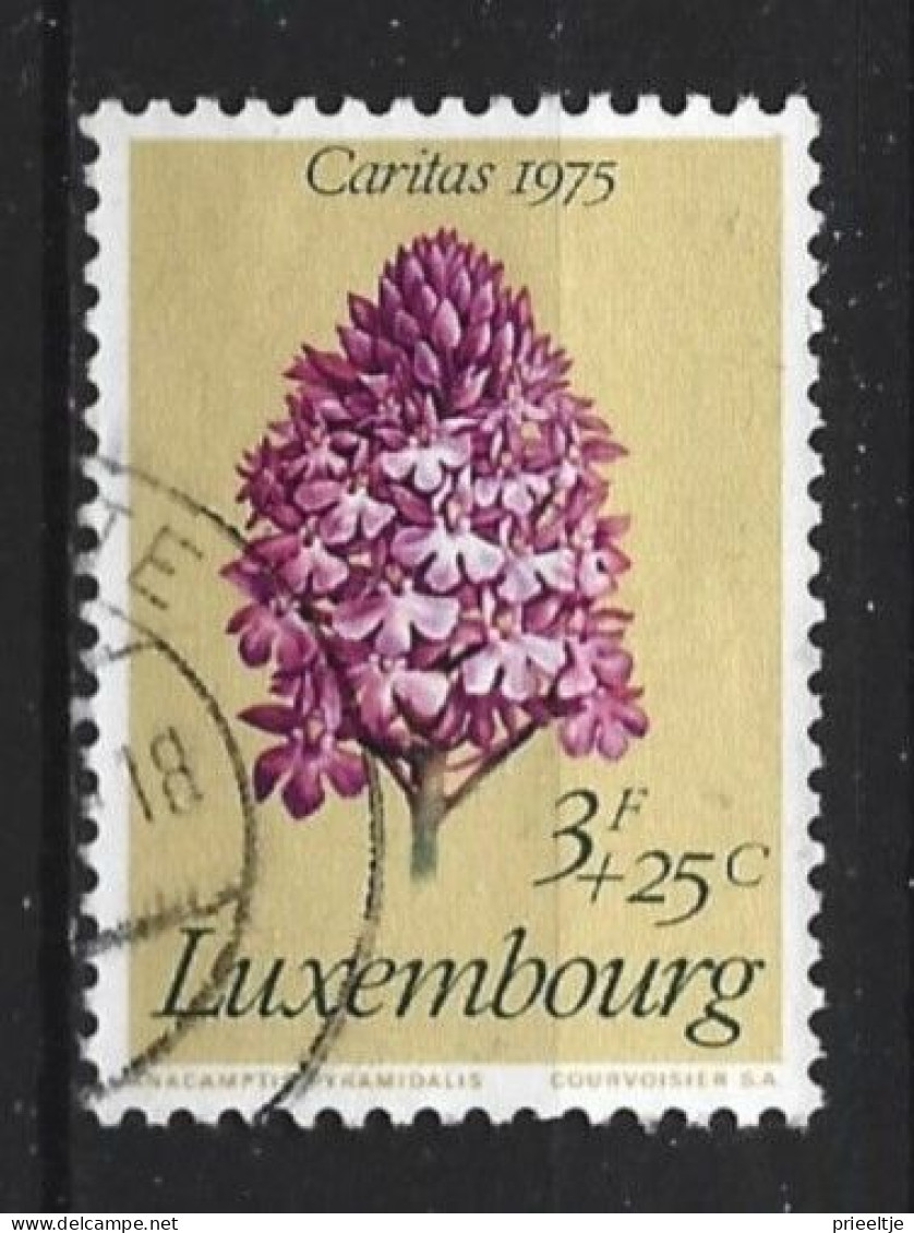 Luxemburg 1975 Flowers  Y.T. 865 (0) - Used Stamps
