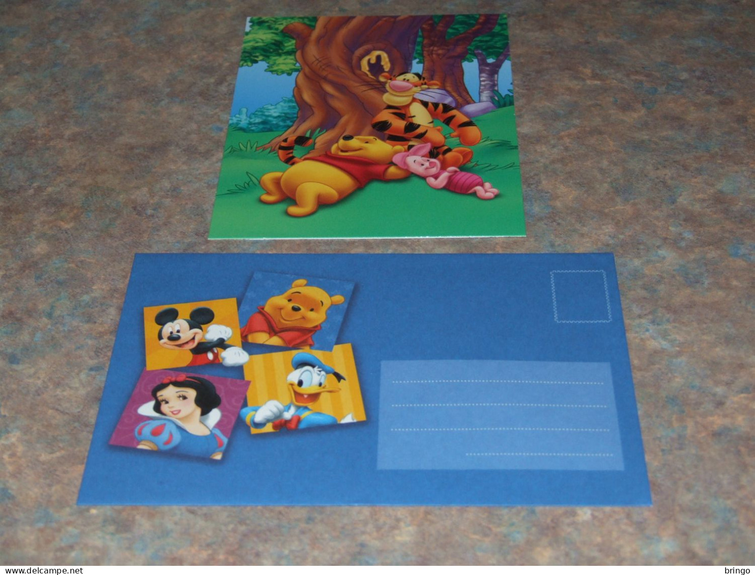 75435-         CARD WITH ENVELOPE, DISNEY, WINNIE THE POOH - Disneyworld