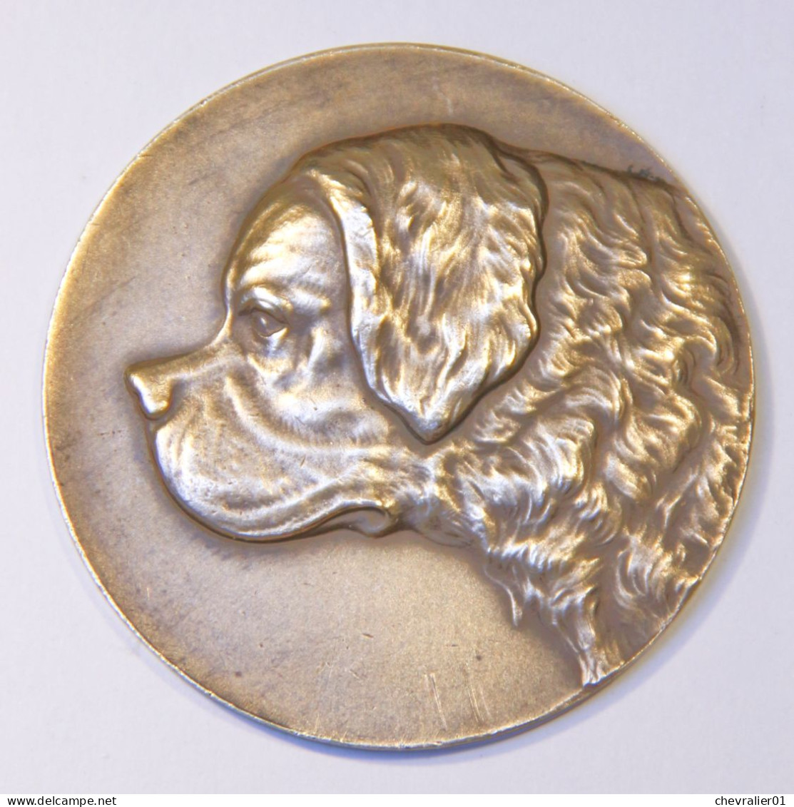 Médaille_bronze_saint-bernard_ Kennel Club Belge - Autres & Non Classés
