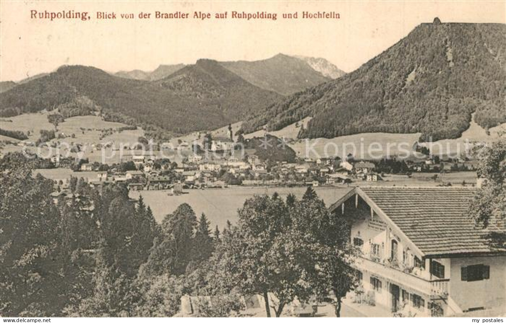 73514971 Ruhpolding Blick Von Der Brandler Alpe Mit Hochfelln Ruhpolding - Ruhpolding