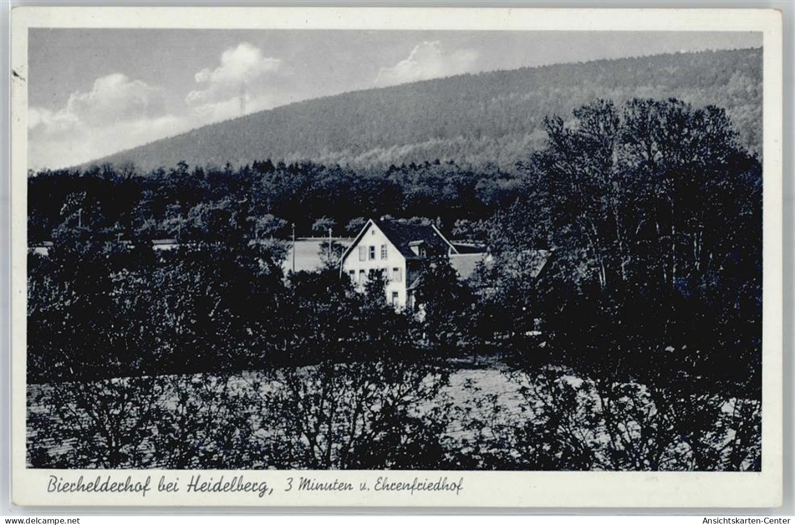 51165607 - Bierhelderhof - Heidelberg