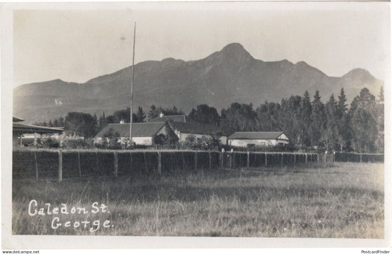 Caledon Street George South Africa Antique Real Photo Postcard - Unclassified