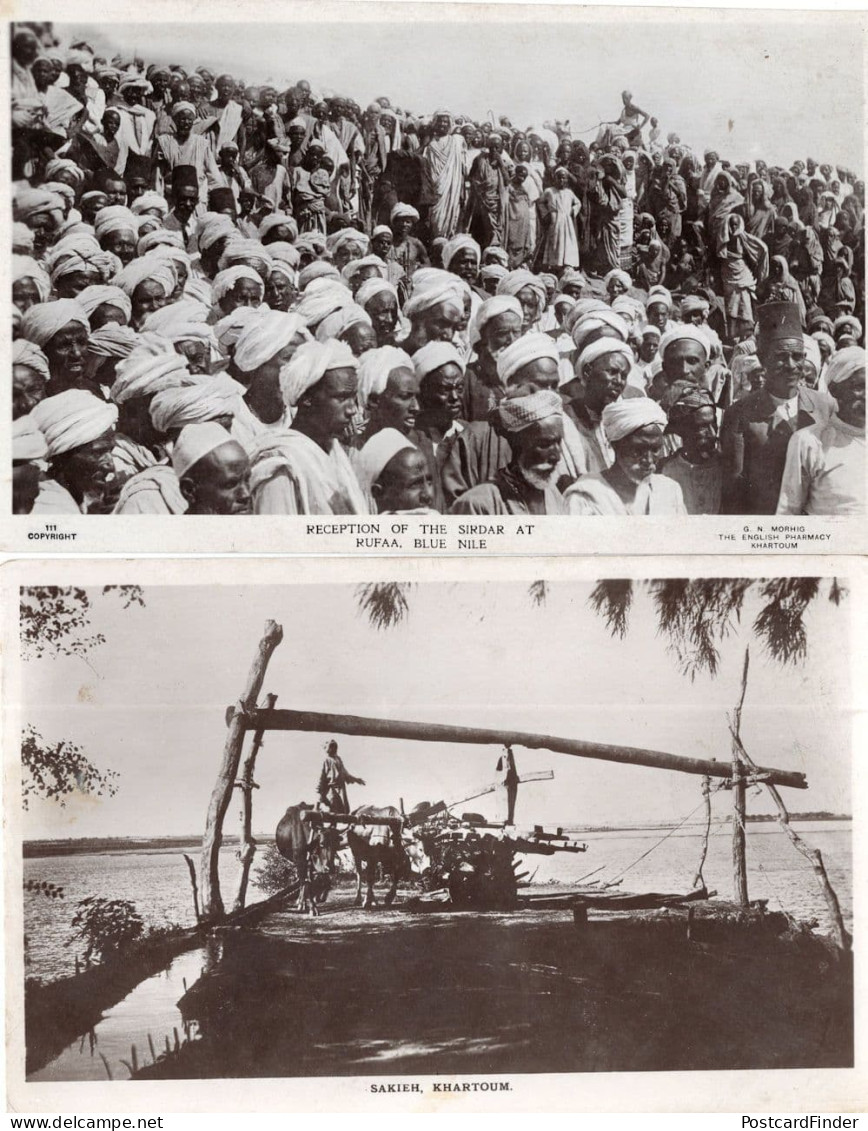 Reception Of The Sirdar At Rufaa Blue Nile Khartoum Africa 2x Postcard - Non Classés
