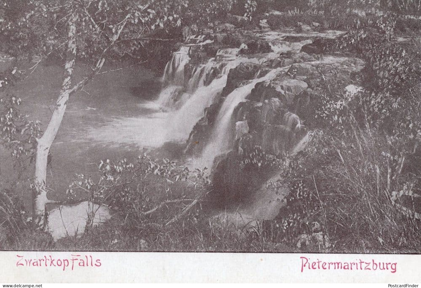 Zwartkop Falls Pietermaritzburg South Africa Old Postcard - Zonder Classificatie