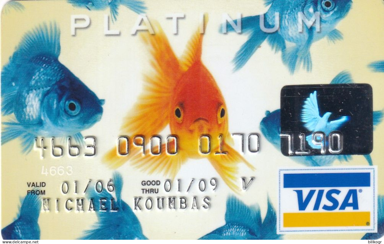 USA - Fish, HSBC Platinum Visa, 07/05, Used - Cartes De Crédit (expiration Min. 10 Ans)