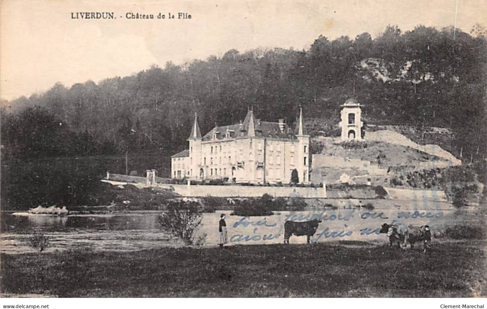 LIVERDUN - Château De La Flie - état - Liverdun