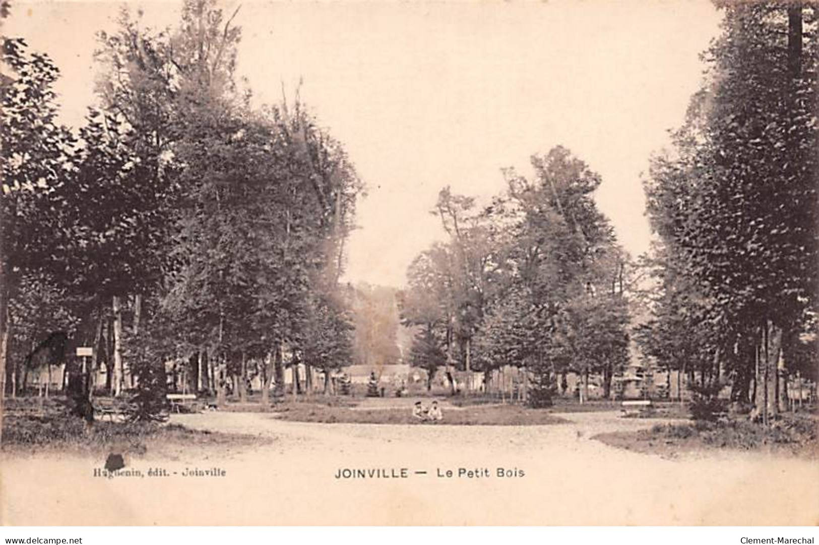 JOINVILLE - Le Petit Bois - Très Bon état - Joinville