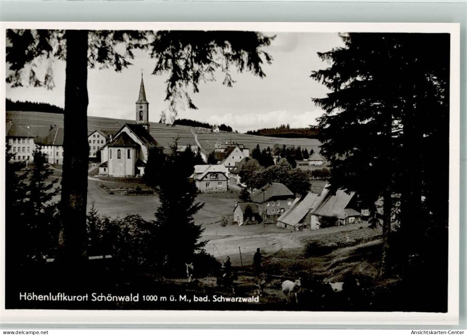 39730907 - Schoenwald Im Schwarzwald - Triberg