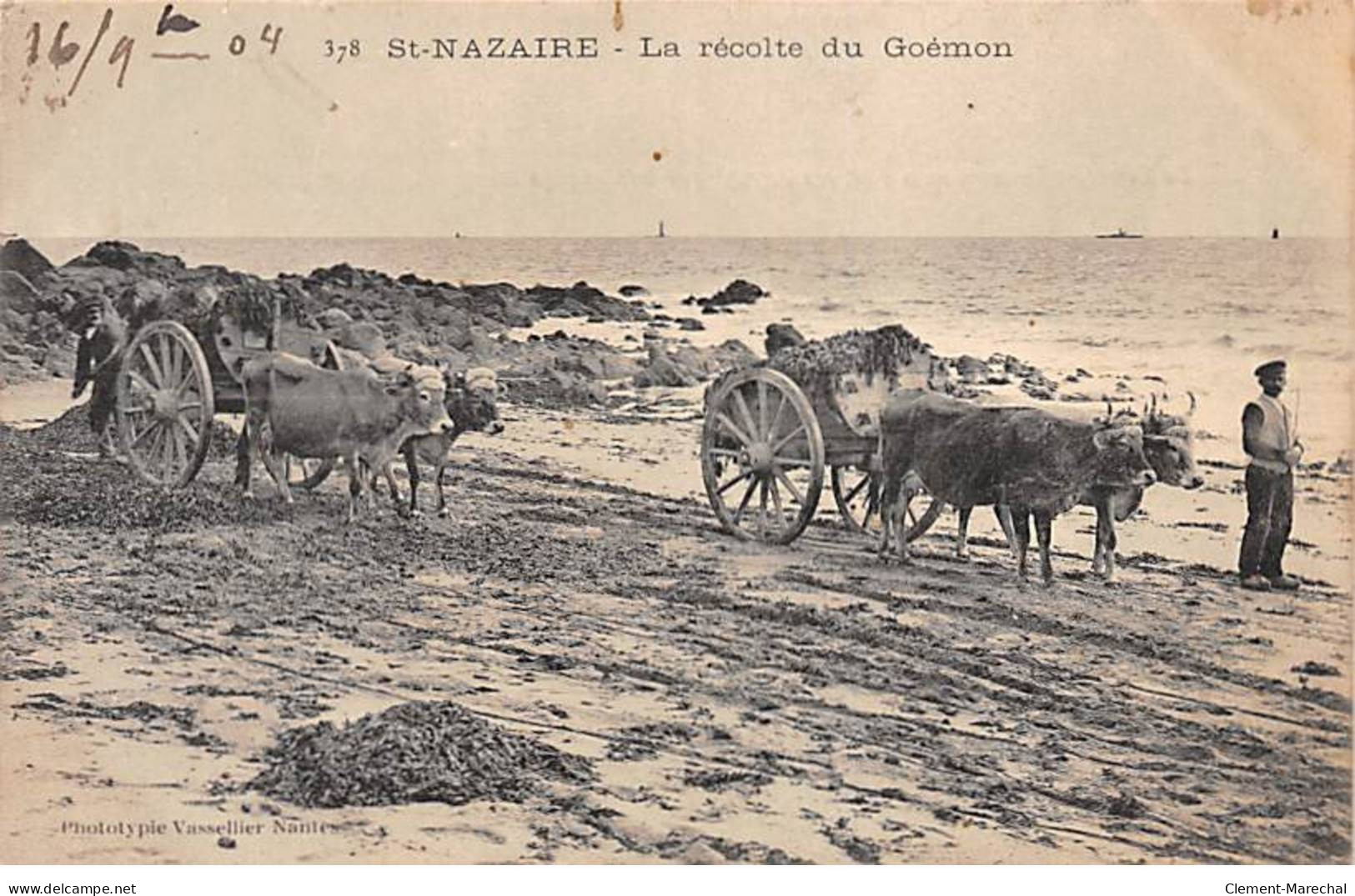 SAINT NAZAIRE - La Récolte Du Goémon - Très Bon état - Saint Nazaire