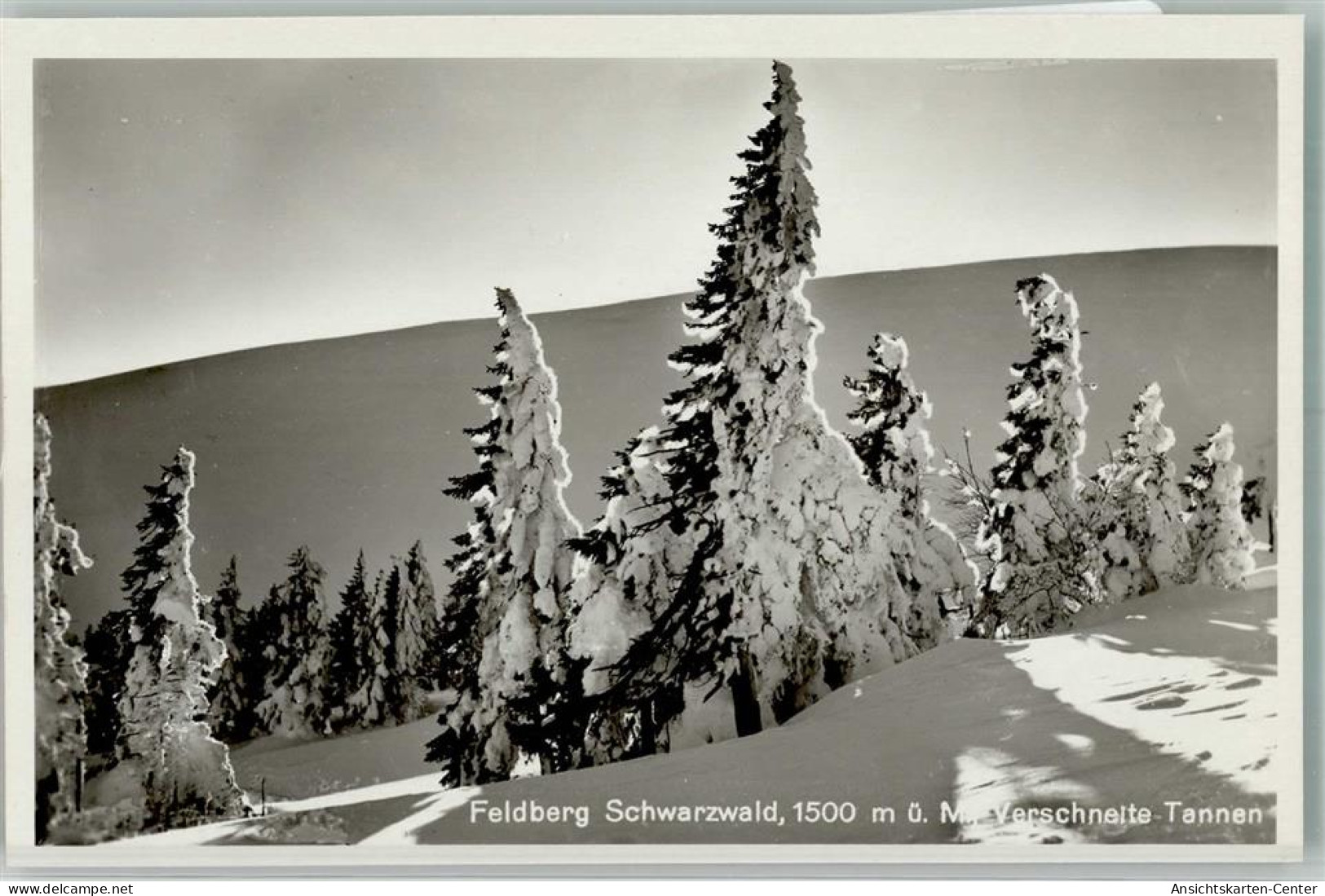 39725507 - Feldberg , Schwarzwald - Feldberg