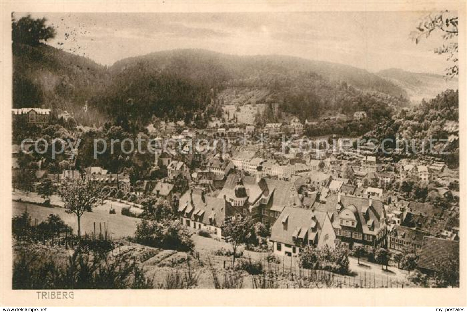 73506443 Triberg Schwarzwald Panorama Triberg Schwarzwald - Triberg