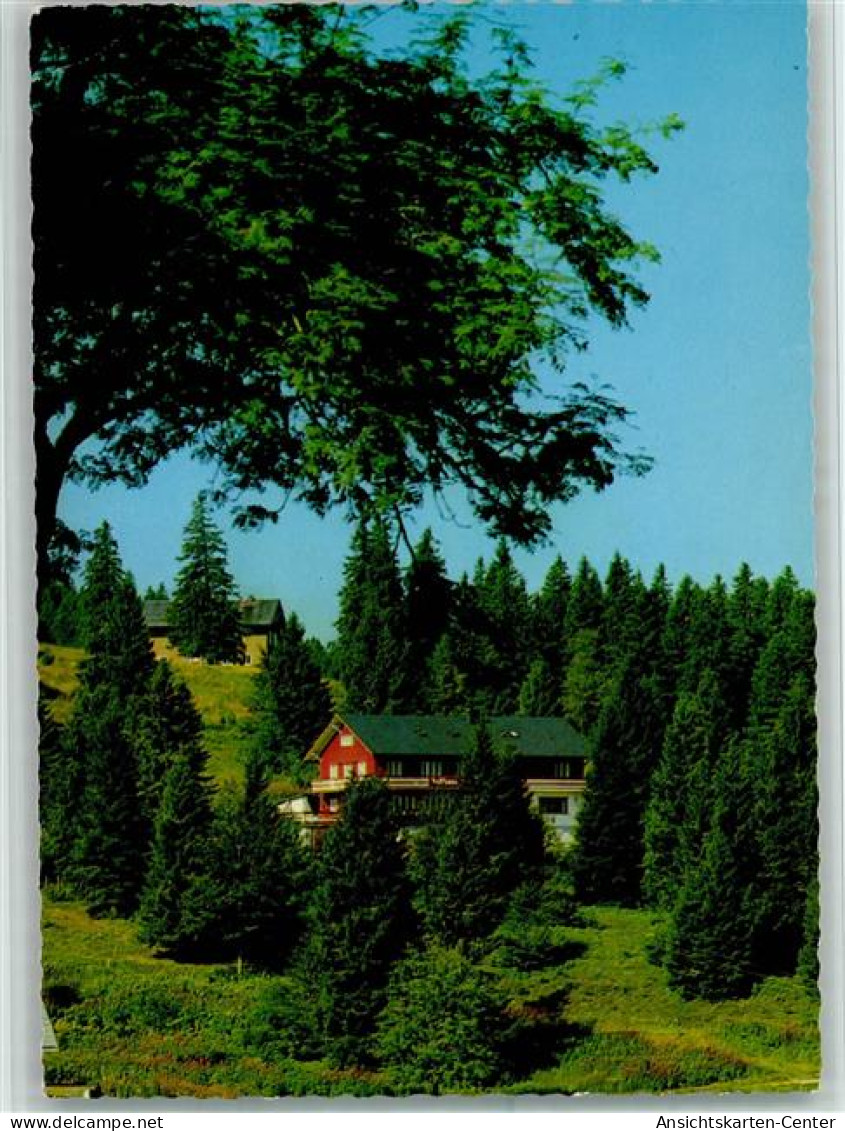 40105907 - Feldberg , Schwarzwald - Feldberg