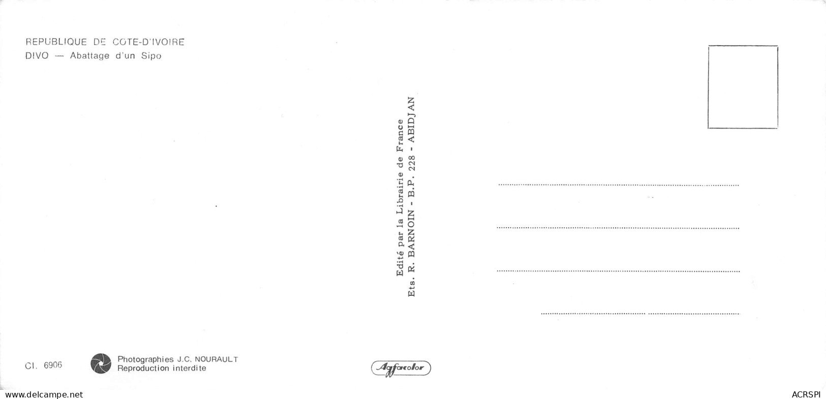 COTE D' IVOIRE DIVO Abattage D'un Sipo   GRANDE CARTE 10 X 21 Cm   5 (scan Recto Verso)MH2901BIS - Elfenbeinküste