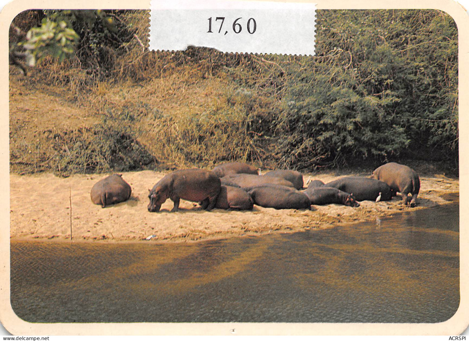 CAMEROUN Hippopotame  Parc National De La Bénoué   9 (scan Recto Verso)MH2901BIS - Kamerun