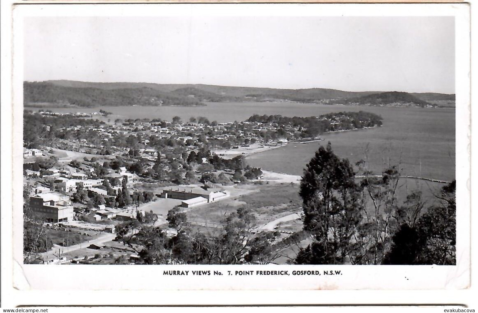 Gosford.N.S.W. - Other & Unclassified