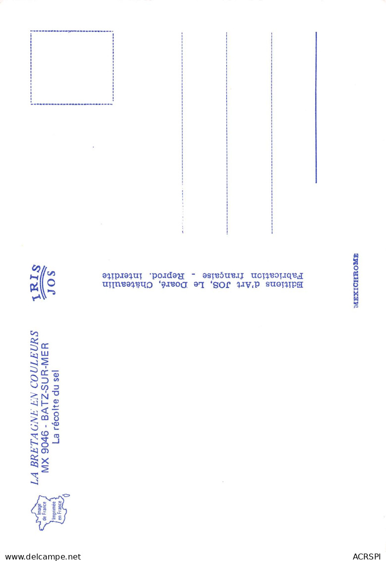 BATZ SUR MER  La Récolte Du Sel  1 (scan Recto Verso)MH2910 - Batz-sur-Mer (Bourg De B.)
