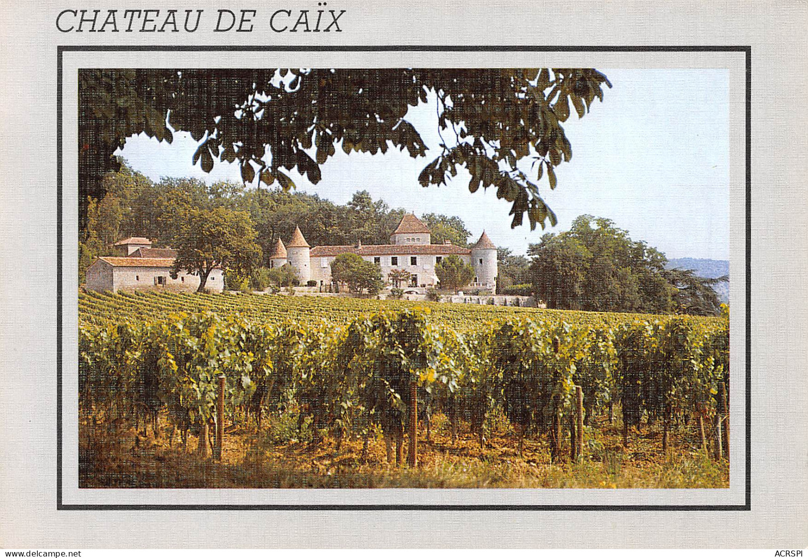 LUZECH  Le Château De Caïx, Propriété De Margreth II Et Du Prince Henrik   36  (scan Recto Verso)MH2933 - Luzech