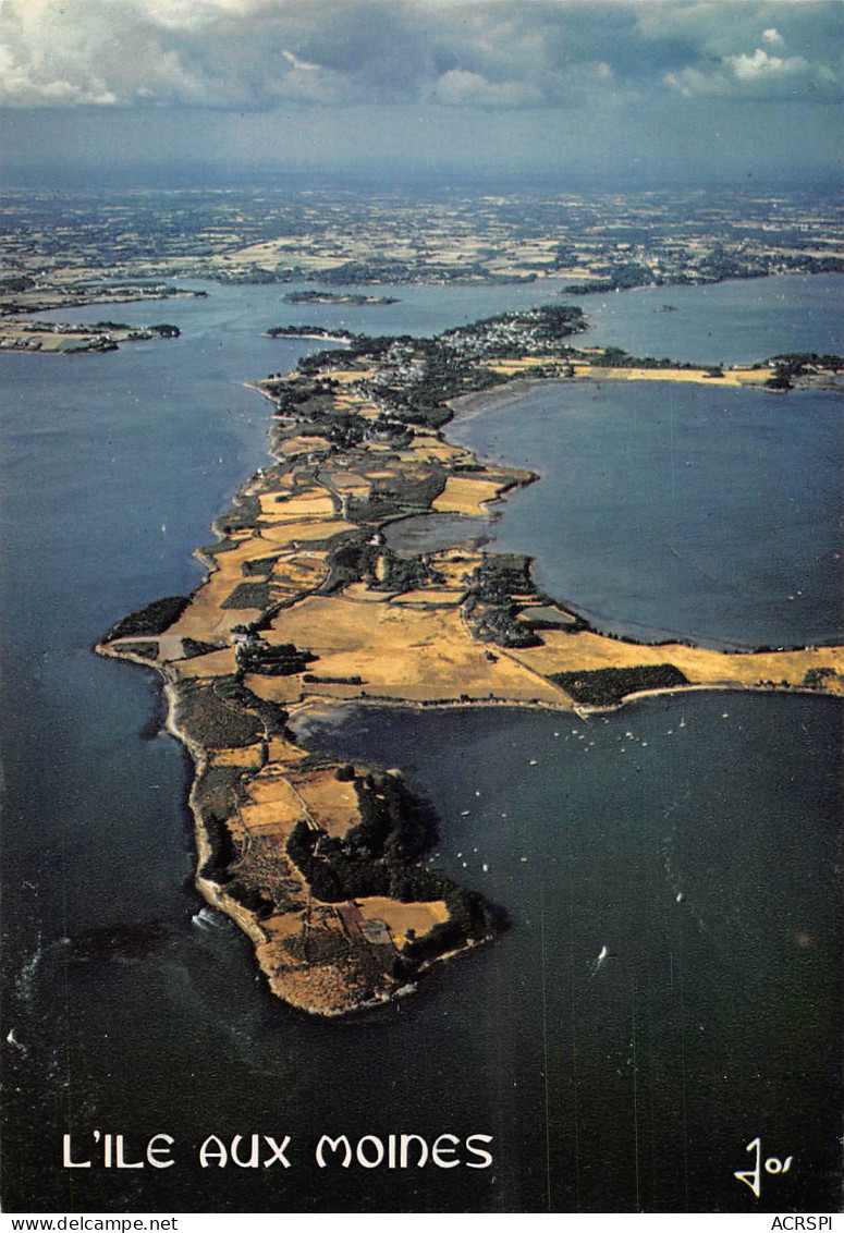 ILE AUX MOINES  De La Pointe Du Trech à La Pointe De Pen-Hap       9  (scan Recto Verso)MH2938 - Ile Aux Moines