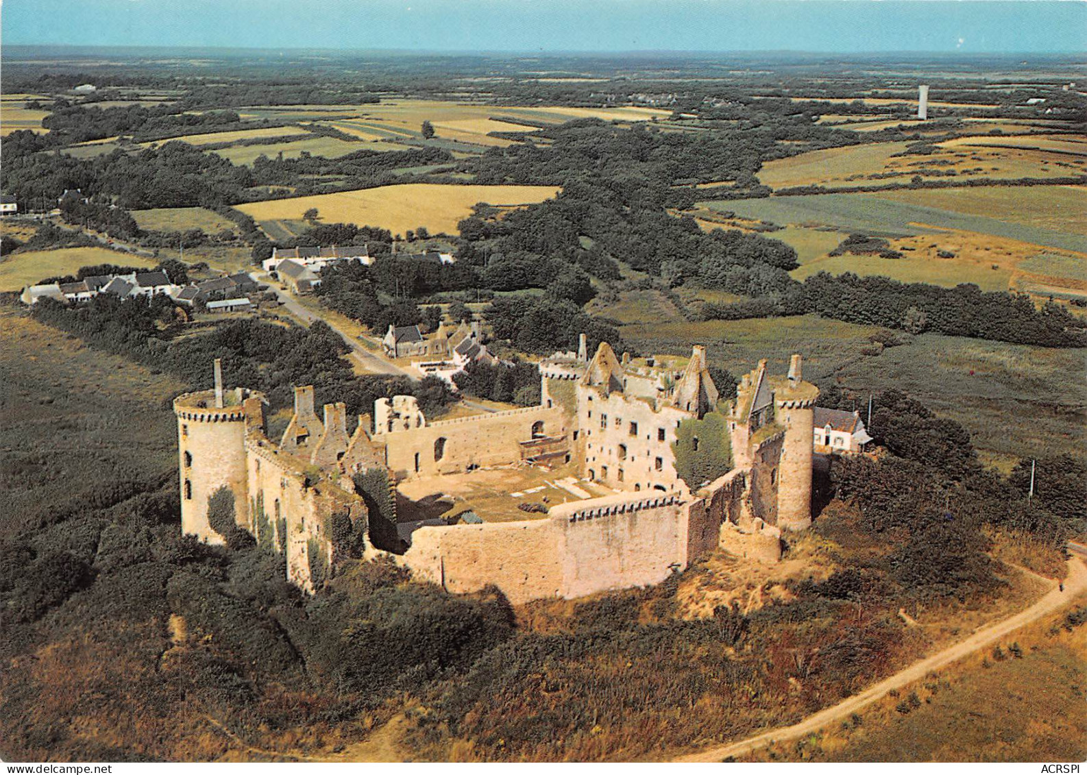 SARZEAU  Château De Suscinio   22 (scan Recto Verso)MH2944 - Sarzeau