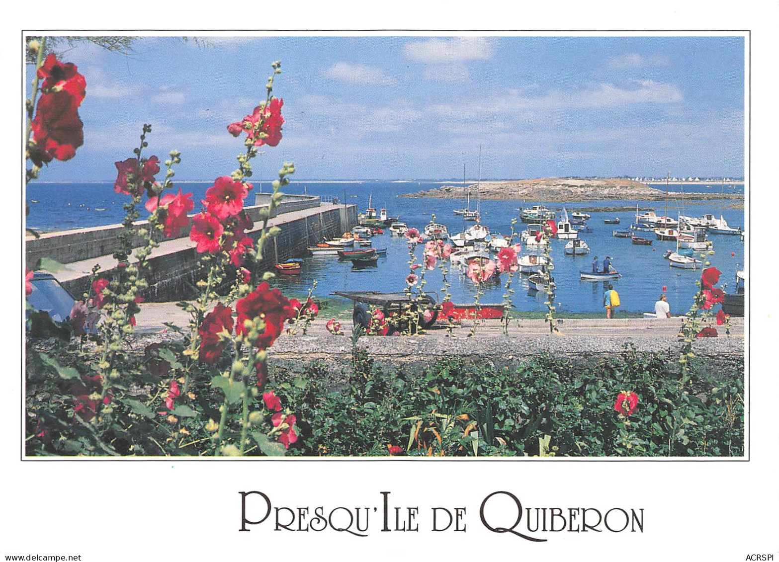 PONTIVY  Le Port Et Les Roses Trémières    25 (scan Recto Verso)MH2960 - Pontivy