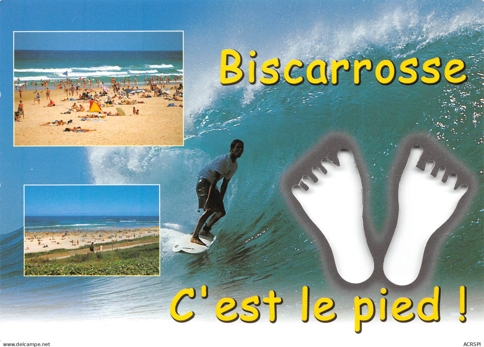 BISCAROSSE    Biscarosse, C'est Le Pied    14 (scan Recto Verso)MH2961 - Biscarrosse